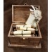 2 1/2 x 4 Blank Scroll Roll-Up with Jump Ring